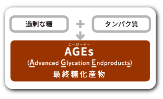 過剰な糖とタンパク質が結びついてAGEsが生成されます。
