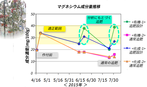 4月16日から7月30日のマグネシウム成分量推移のグラフ：分析に基づき追肥を2回実施してマグネシウム成分濃度は適正範囲内にコントロールできた。